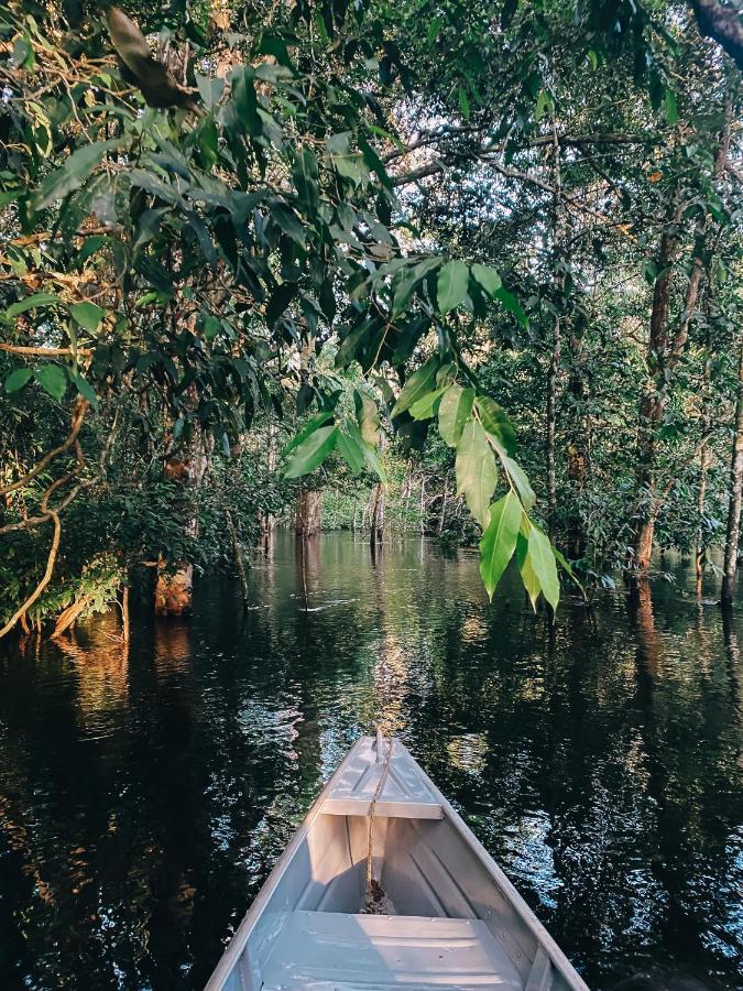 Amazon Arowana Lodge Careiro المظهر الخارجي الصورة